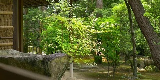 日式花园和复古风格的日式房子