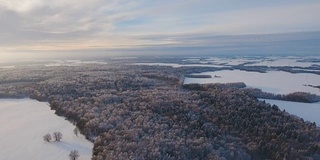 冬季景观有森林、田野。冬天的风景