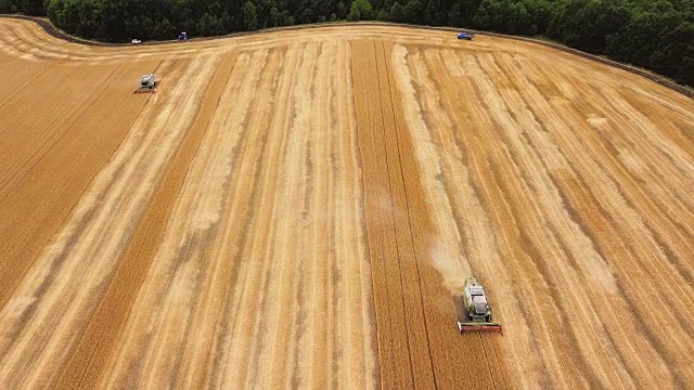 小麦收获鸟瞰图。美丽的农业场景。