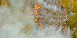 森林火灾。Busuanga,菲律宾巴拉望省