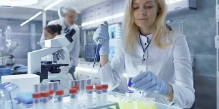 女性医学研究员使用微管工作。她的测试分析。科学家们正在这个大光实验室里工作