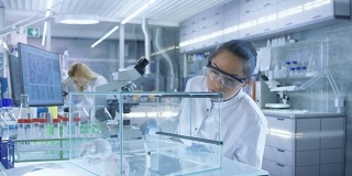 医学研究科学家检查实验室小鼠和在显微镜下观察组织样本。她在一个灯光实验室工作。