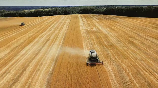 小麦收获鸟瞰图。美丽的农业场景。