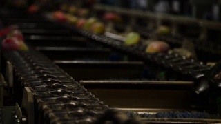 芒果在一个连锁的工业水果近视频素材模板下载