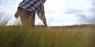 接下来要用男性的手翻动小麦在田间生长。绿草如茵的草地，夏日里人们用手抚摸着种子。一个家伙穿过麦田。近距离
