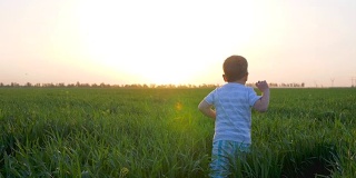快乐的孩子跑进绿色的田野，快乐的孩子在夕阳下跳进草地，可爱的孩子在户外慢镜头玩耍