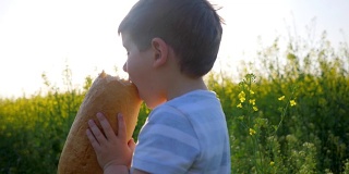 小男孩手里拿着面包在背景地里，快乐的小男孩在公园外面吃面包，饥饿的孩子吃食物