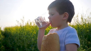 小男孩在户外拿着面包喝着玻璃杯里的水，孩子在背光下在草地上喝着干净的水视频素材模板下载