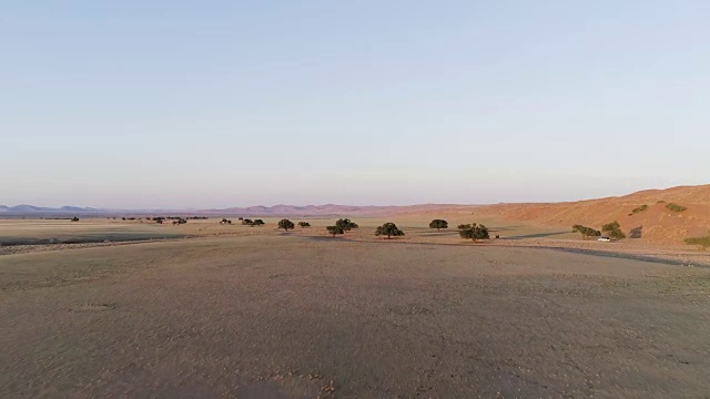 日落时分的纳米比亚沙漠。道路和树木的鸟瞰图