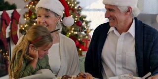 快乐的爷爷奶奶和孙女们一起享用圣诞晚餐