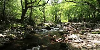 碧绿的御宫山谷和日本的桥