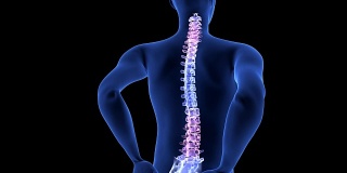 脊椎疼痛。蓝色人体解剖体3D扫描渲染在黑色背景