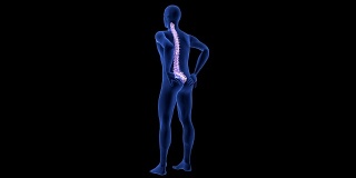 脊椎疼痛。蓝色人体解剖体3D扫描渲染黑色背景-无缝循环