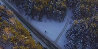 一辆汽车在乡村公路上穿过冬天的森林。俯视图从无人机。鸟瞰图的道路通过森林在高山上的冬天与积雪覆盖的树木