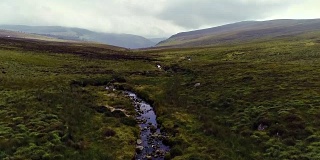 小溪流向萨利缺口在爱尔兰Wicklow，鸟瞰图