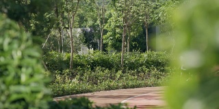 亚洲父子早上在花园里慢动作慢跑
