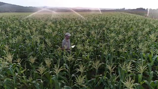 农民使用数字平板电脑和监测灌溉玉米作物的鸟瞰图