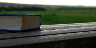 一本合上的书搁在长凳上