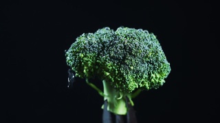 4k蔬菜黑色背景，西兰花视频素材模板下载