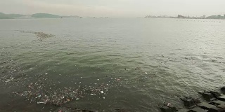 水污染，南海