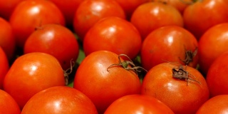 超市摊位上的红番茄