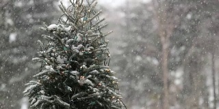 4K照亮圣诞树在暴风雪期间