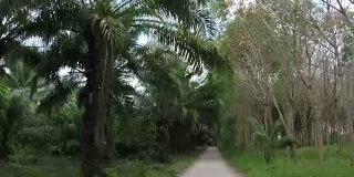 通过热带森林行动相机POV的道路正面视图