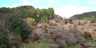 电影倾斜拍摄:日本名古屋，野原，丰田，秋红叶
