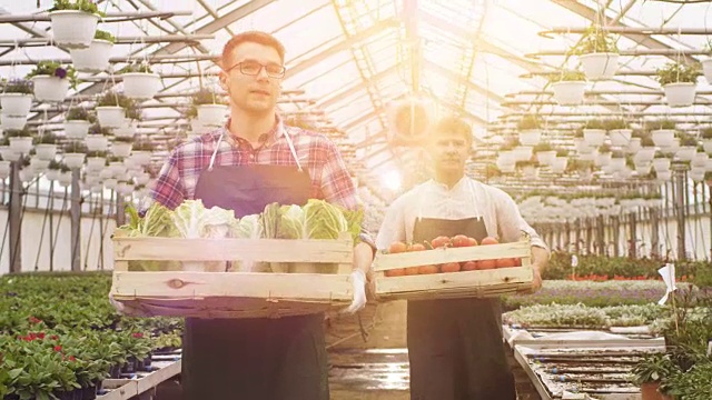 两名工业温室工人背着装满蔬菜的箱子，而农民则在一排排的植物上工作。人们对他们种植的有机食物微笑和高兴。