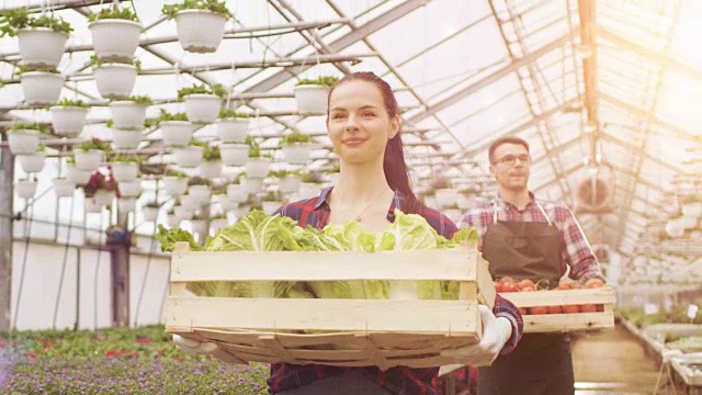 两个快乐的温室工人提着装满蔬菜的箱子。人们对他们种植的有机食物微笑和高兴。