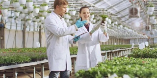 在工业温室中，两位农业工程师利用平板电脑的分析能力控制花卉生长潜力。