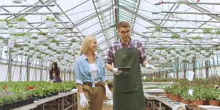 在阳光工业温室中，农业工程师和园丁用平板电脑检测花卉和分析数据。可见成排的稀有和商业上可行的植物。