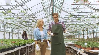 在阳光工业温室中，农业工程师和园丁用平板电脑检测花卉和分析数据。可见成排的稀有和商业上可行的植物。视频素材模板下载