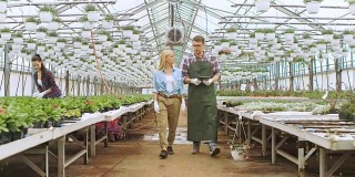 在阳光工业温室中，农业工程师和园丁用平板电脑检测花卉和分析数据。可见成排的稀有和商业上可行的植物。