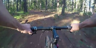 山地自行车在行动:PoV快速骑在森林