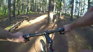 骑山地自行车穿过森林视频素材模板下载