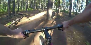 骑山地自行车穿过森林