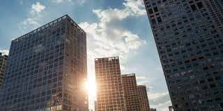 阳光下摩天大楼的动画图片