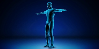 一个人的身体突出你的肌肉-可循环(alpha频道)- 4K