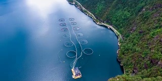 航拍挪威农场捕捞鲑鱼