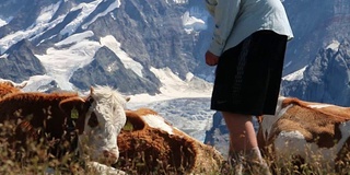 一个休闲的徒步旅行者沿着高山小径前行