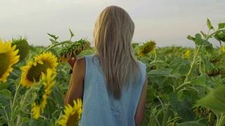 背影看不出的金发女人走在向日葵的田野。Slowmotion拍摄视频素材模板下载