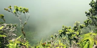 夏威夷考艾岛，纳帕利海岸州立公园，卡拉劳山谷和瞭望台