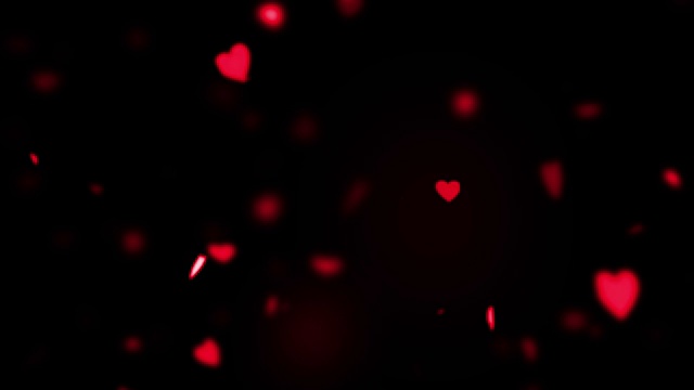 红色缤纷的心飞翔的动画在黑色的背景，爱和情人节，关系