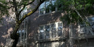 白天拍摄的高档纽约公寓大楼的窗户