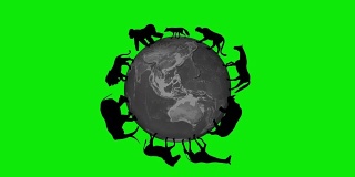 动物环绕世界，环球绿屏