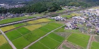 无人机拍摄的日本稻田鸟瞰图