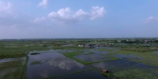 大雨期间稻田稻田