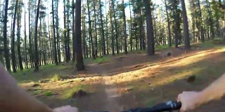 山地自行车个人视角视频