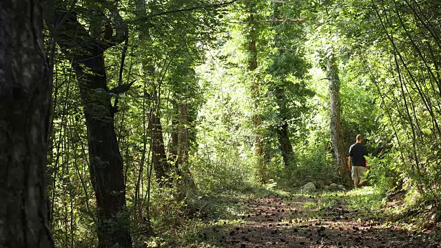 一个年轻人走在树林里的小路上
